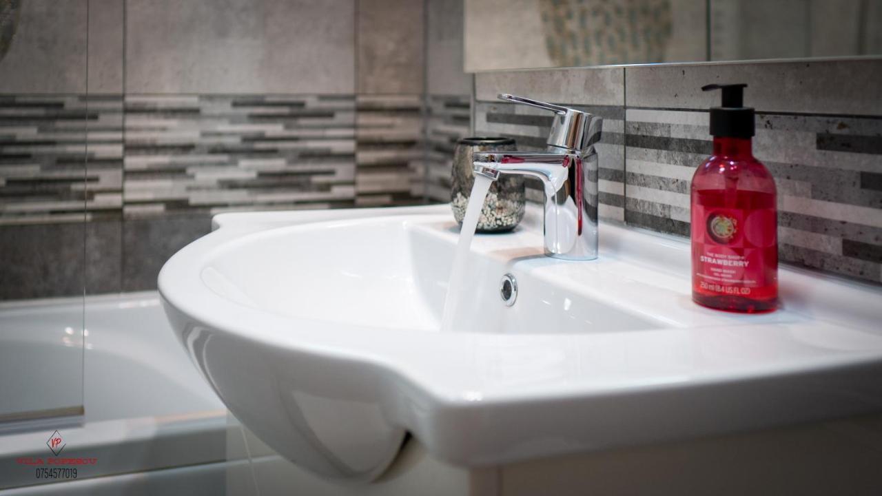 Apartament Popescu Călimăneşti Dış mekan fotoğraf